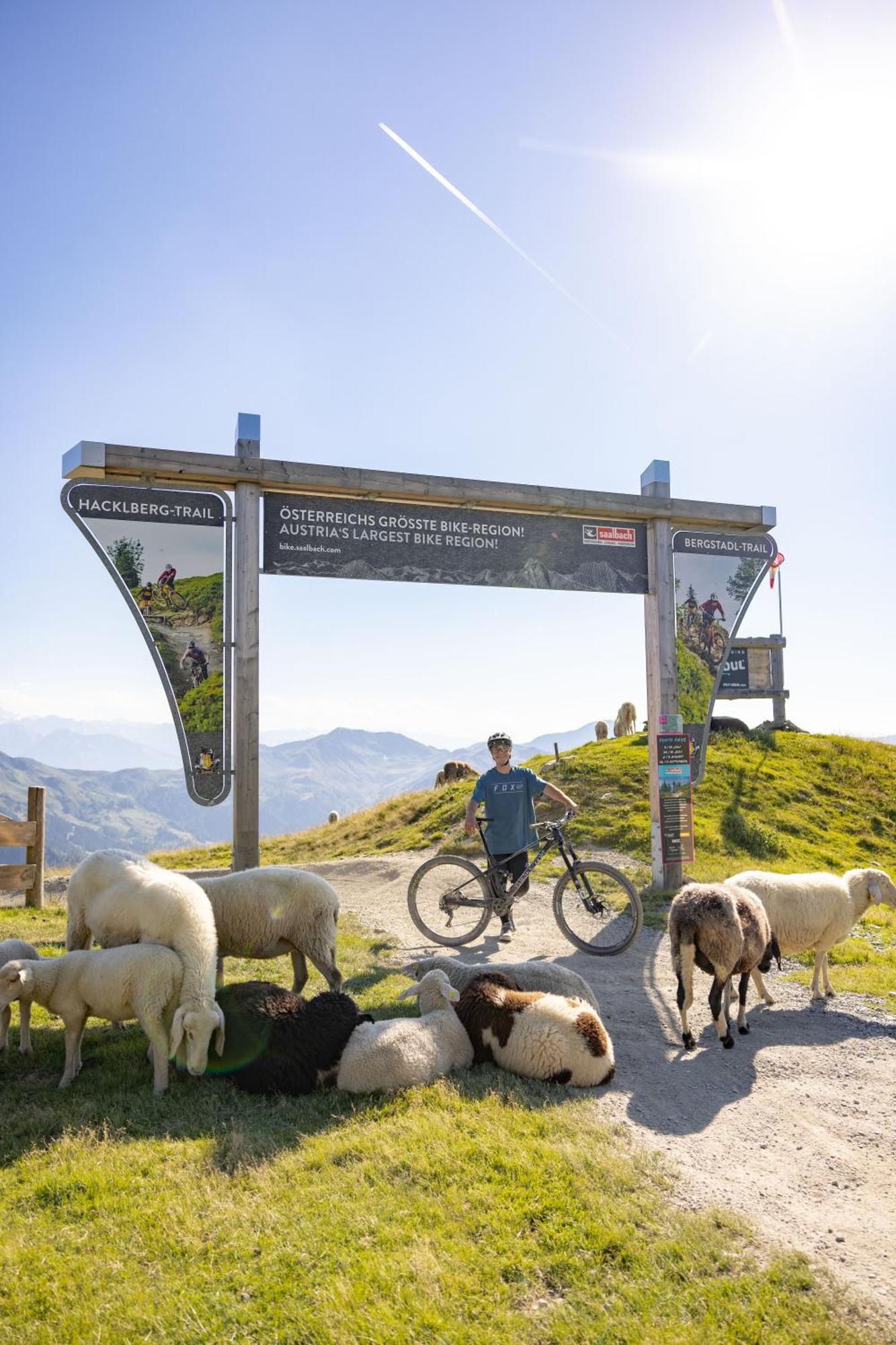 Landhaus Saalbach - Joker Card Included In Summer Exterior foto